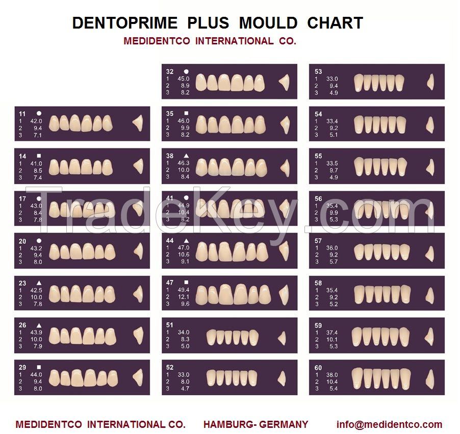 High quality Acrylic Teeth  & Composite Teeth .