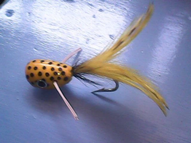 fly fishing flies