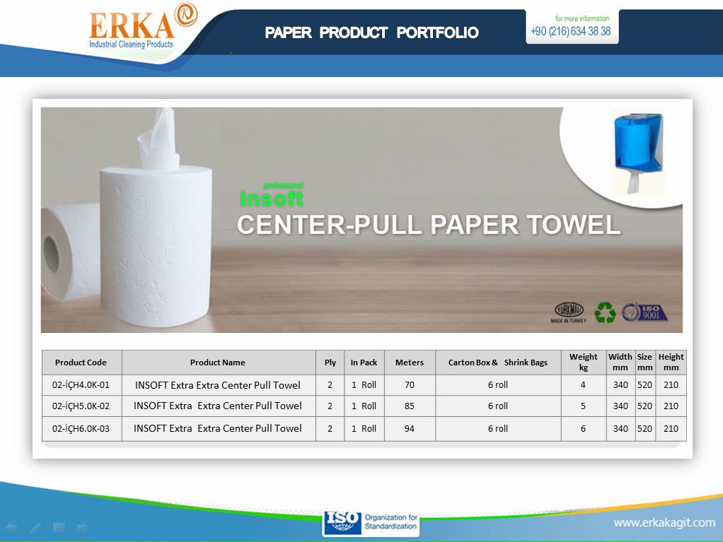 Insoft Center Pull Paper Towel