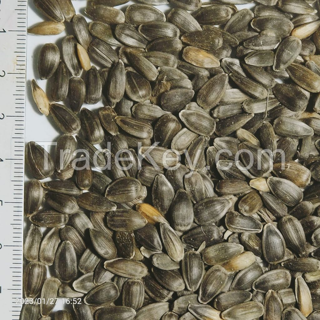 sunflower seeds