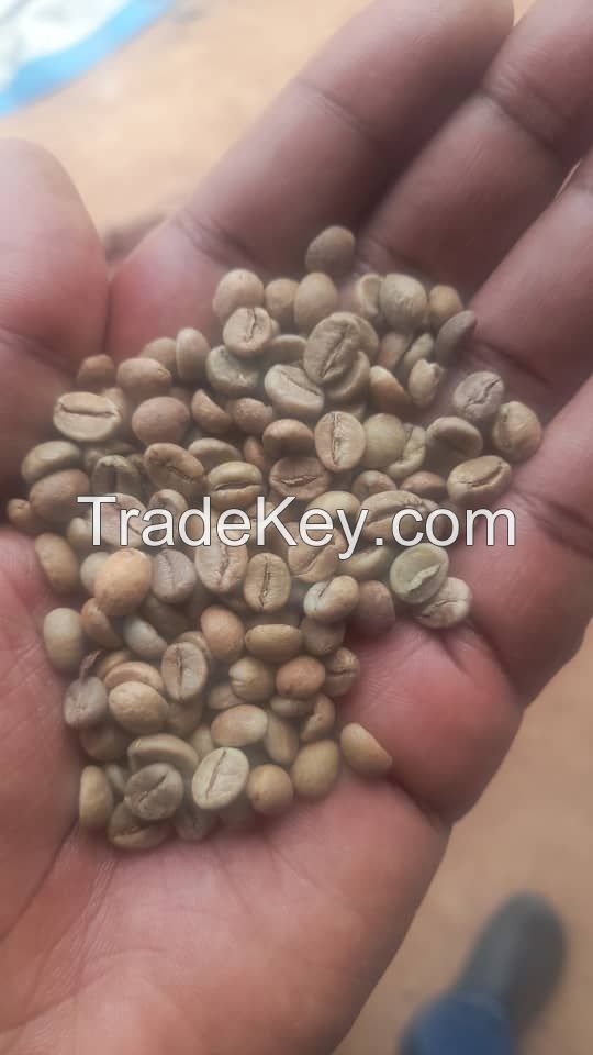 Green coffee beans