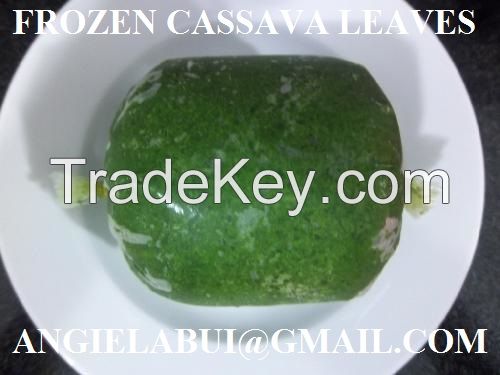 CASSAVA LEAVES