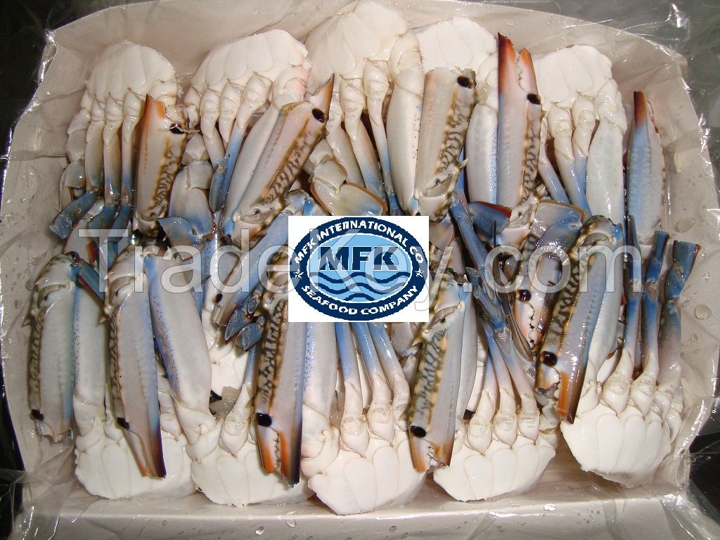 BLUE SWIMMING CRABS PAKISTAN