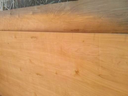 Sell Birch Plywood Packaging Grade