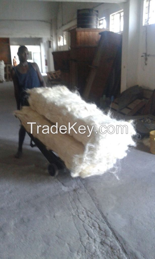 Sisal Fibre