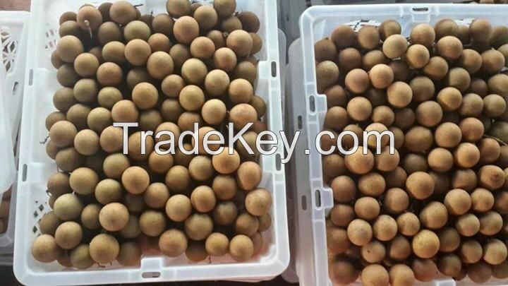 fresh longan