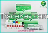 Sell Avian Marek's disease virus antibody ELISA kit