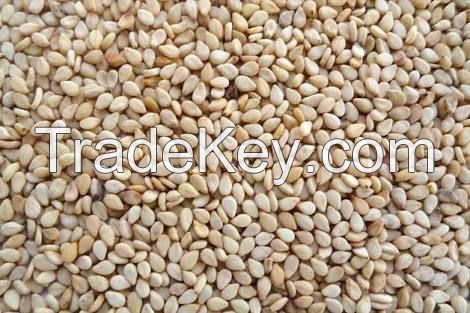 Sell Natural Sesame Seeds