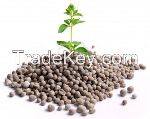 NPK Fertilizer