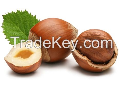 Hazelnuts