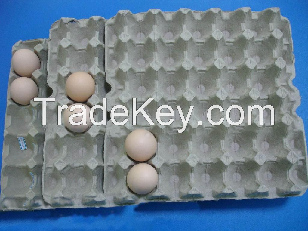 PAPER EGG TRAYS