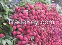 fresh Litchi for sale