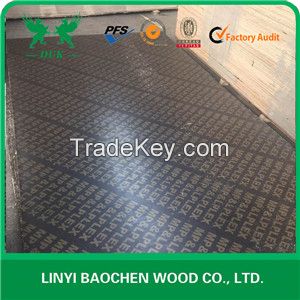 Kuwait market 18mm brown film faced plywood