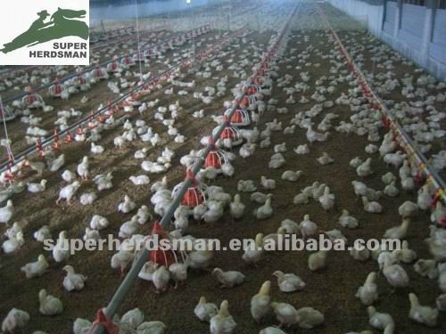 automatic broiler breeding equipment