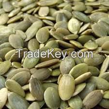 pumpkin seeds