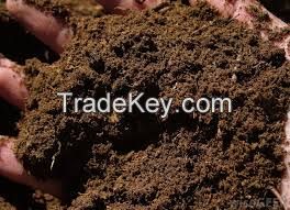 Peat Moss