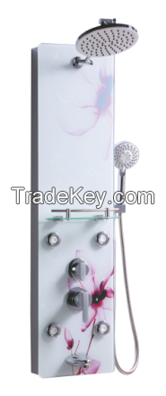 Tempered Glass Shower Panel