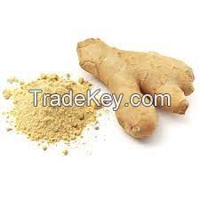 Ginger Powder