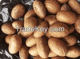 Bitter Kola Nuts/Garnicia Nuts