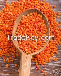 High quality red lentils , red lentils price , red lentils for sale with reasonable price and fast delivery !!