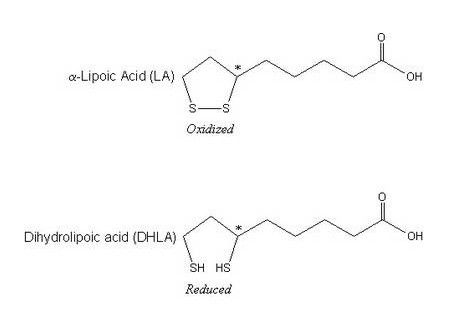 Alpha Lipoic Acid