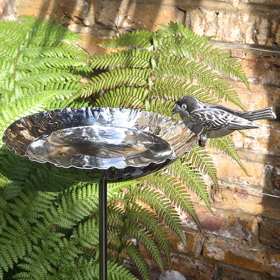 Bird Bath