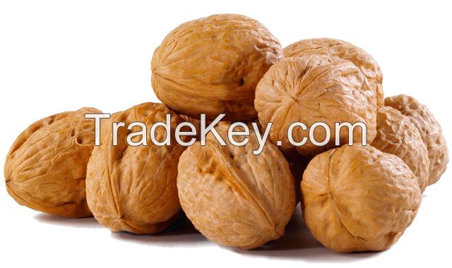 Walnut