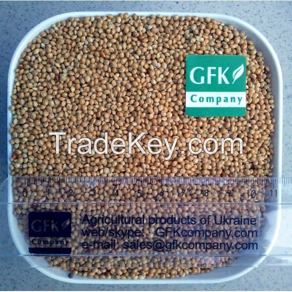 Yellow Millet