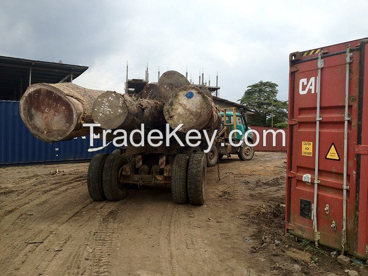 African hard wood timber and lumber logs ready