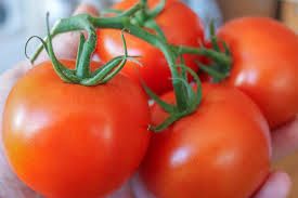 Fresh Tomatoes