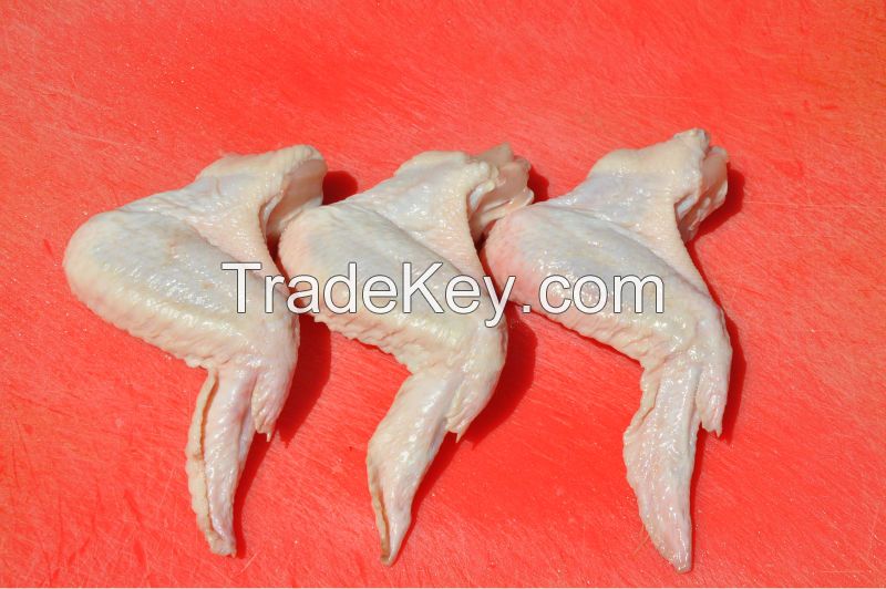 Best Chicken Feet for sale