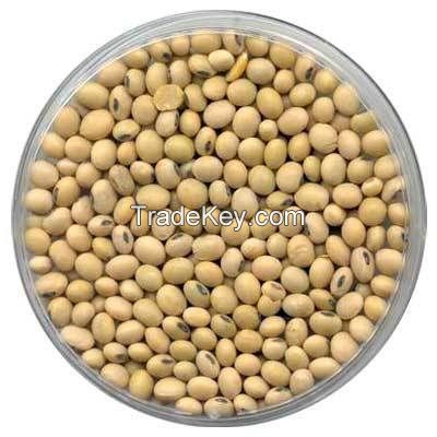 Quality Non Gmo Soybean