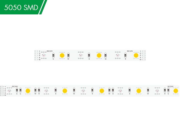 DC12/24V 5050 60LED 10mm RGB+W Strip light