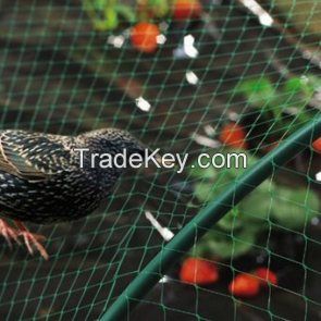 Vineyard Anti Bird Nets Bird Netting for Fruit Trees Blueberry Strawberries Grape Vines Vegetable Garden