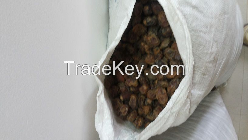 sell semi  and dry dates from Sudan