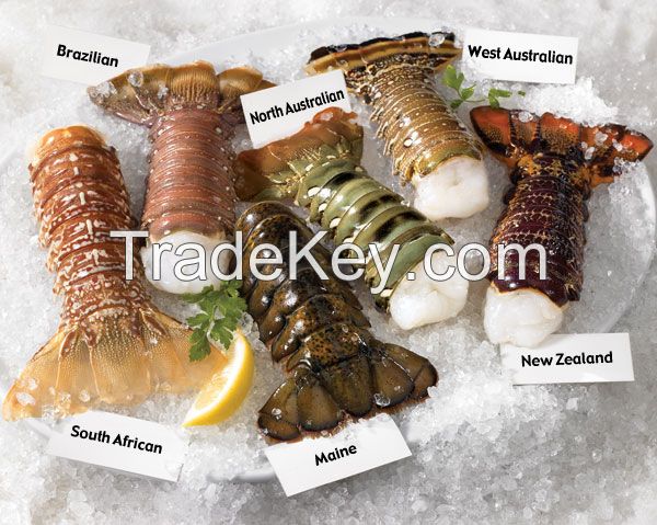 FROZEN CRABS  / LOBSTERS