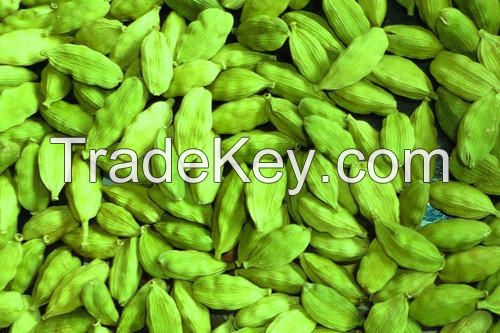 Green Cardamom Dried Cardamom Grade A Quality