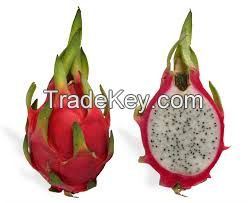 dragon fruits