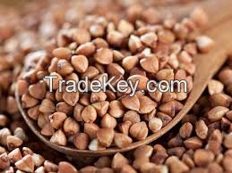 buckwheat