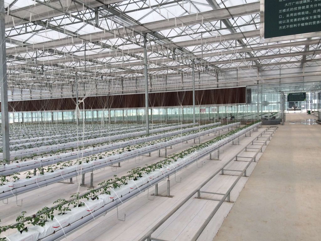 Dutch Bucket Greenhouse Hydroponics System