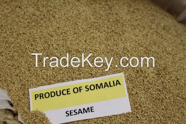 Natural Sesame Seeds