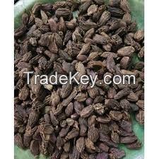 Black Cardamom