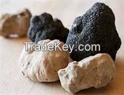 WHITE AND BLACK TRUFFLES