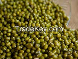 Mung Beans