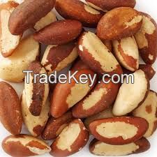 Brazil Nuts