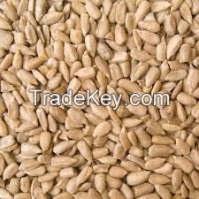 Sunflower Kernels