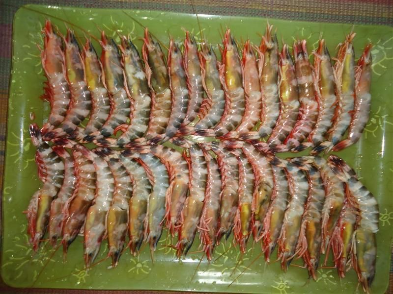 Frozen Shrimps