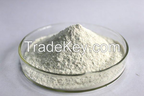 Titanium Dioxide TiO2