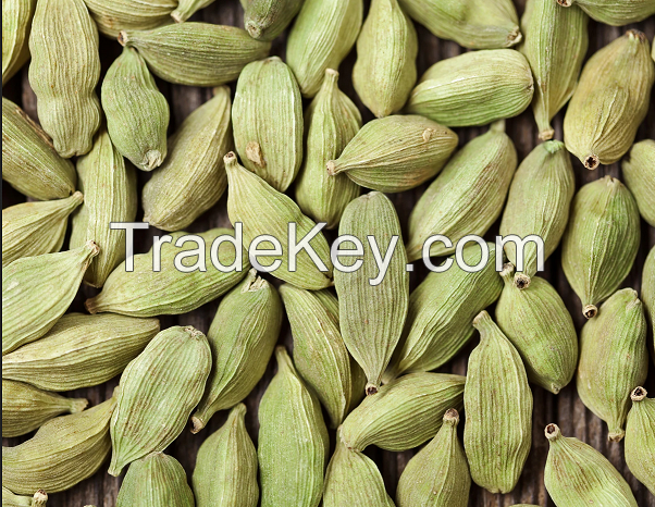 Green Cardamom