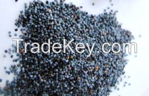 Quality Blue/White Poppy Seeds